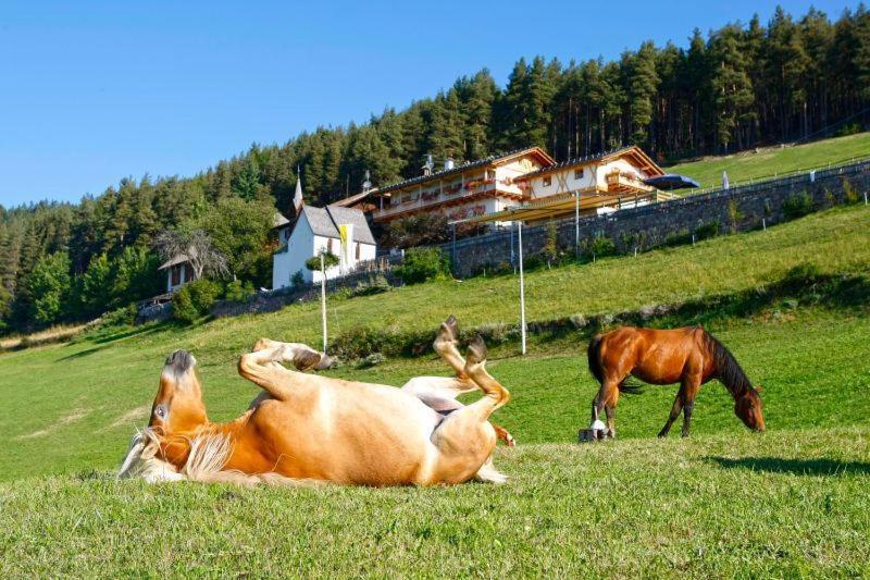 Gasthaus Bad Siess Longostagno Esterno foto