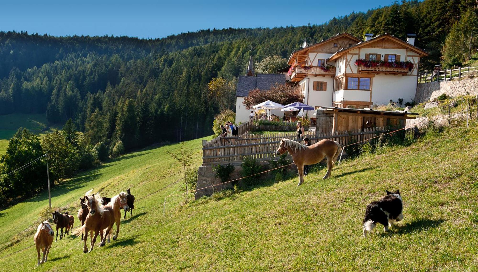 Gasthaus Bad Siess Longostagno Esterno foto